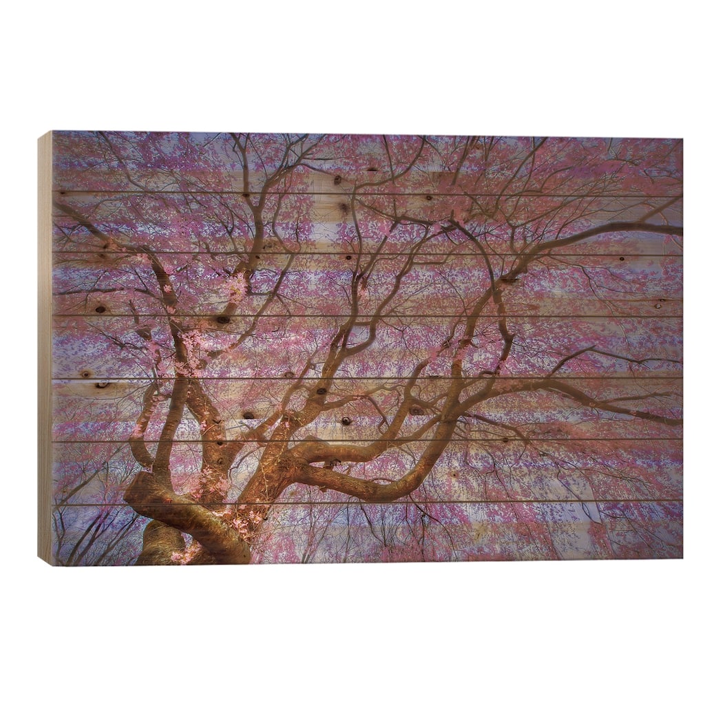 Weeping Cherry Print On Wood by Natalie Mikaels - Multi-Color
