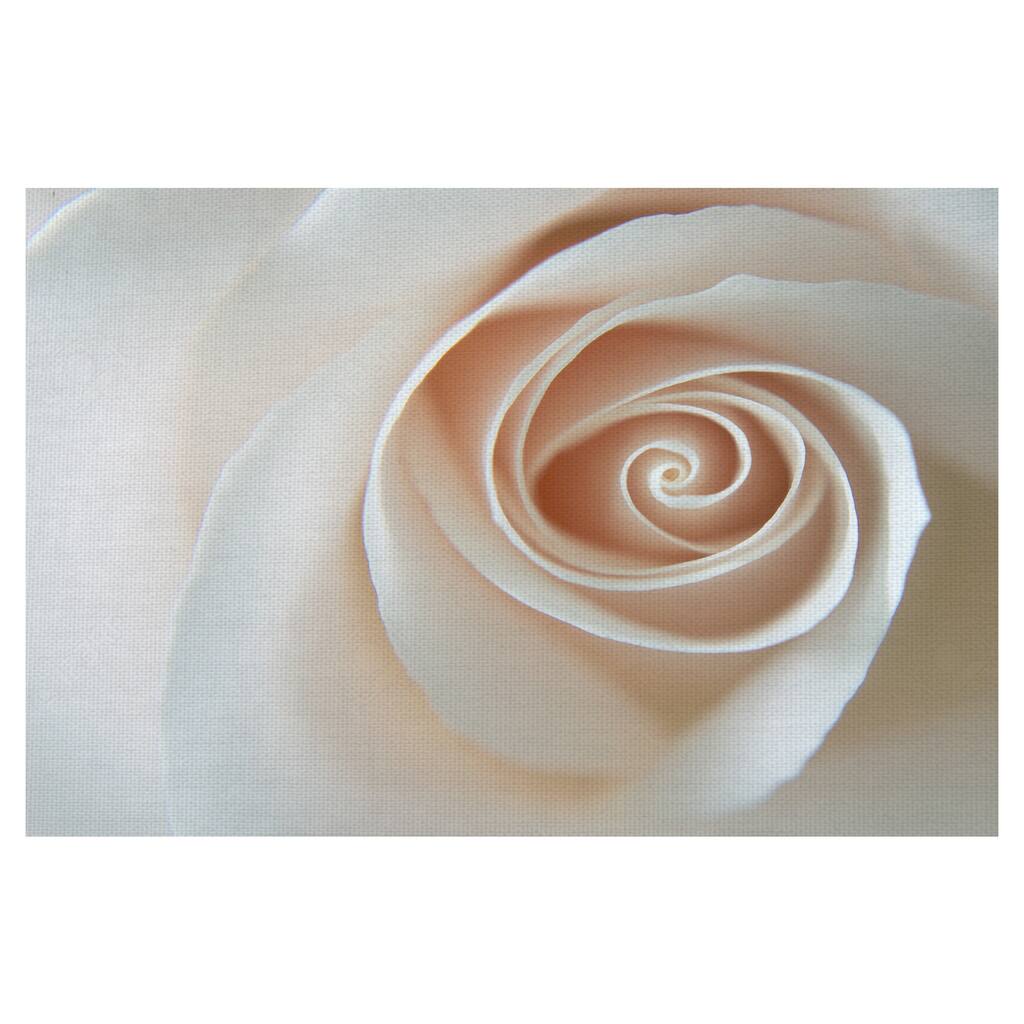 White Rose Swirl by Grand Image Canvas Art Print