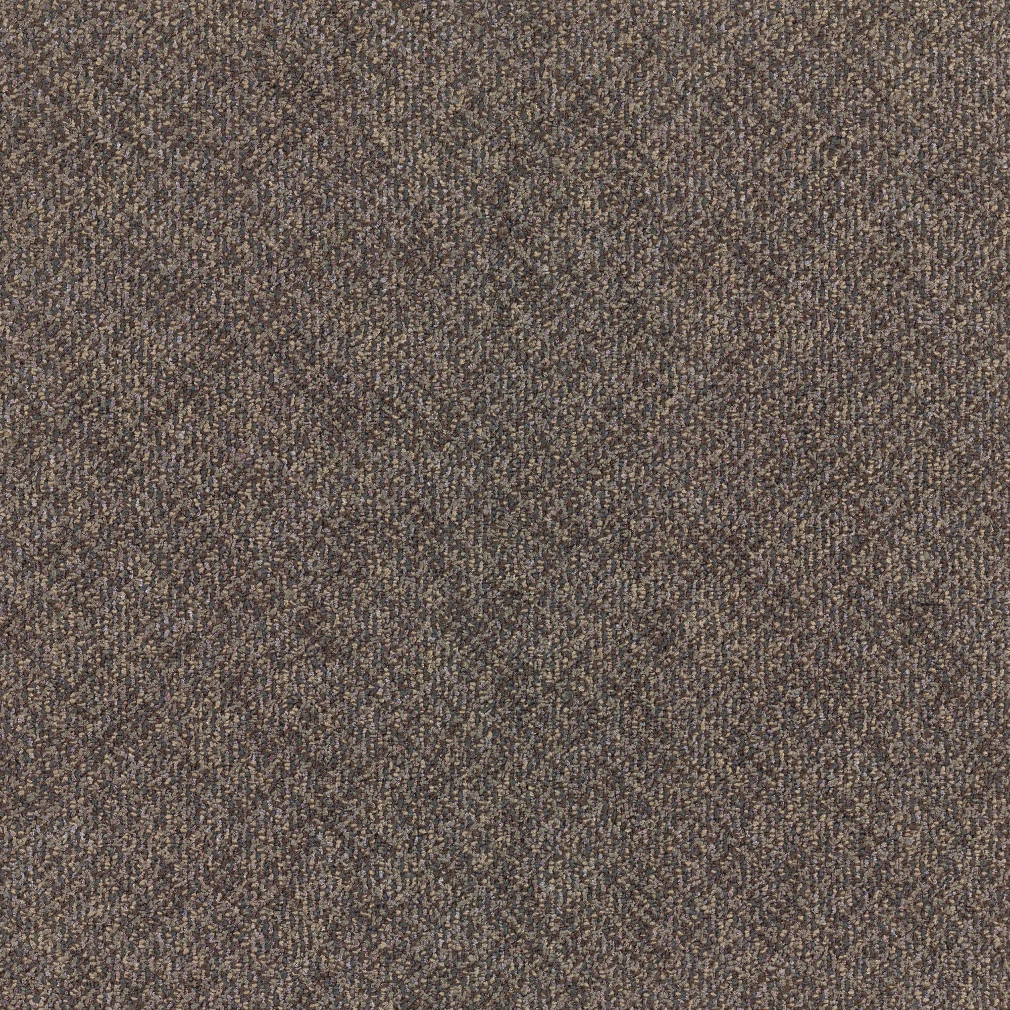 Mohawk Industries Laconia - 24" x 24" Square Carpet Tile - Tufted