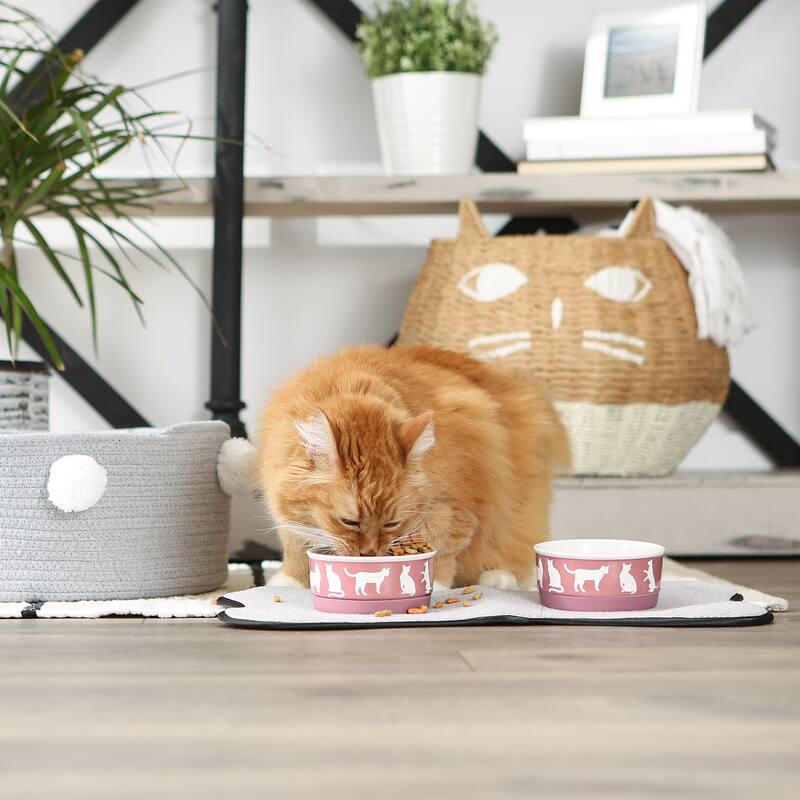 Bone Dry Pet Bowl Cats Meow (Set of 2)