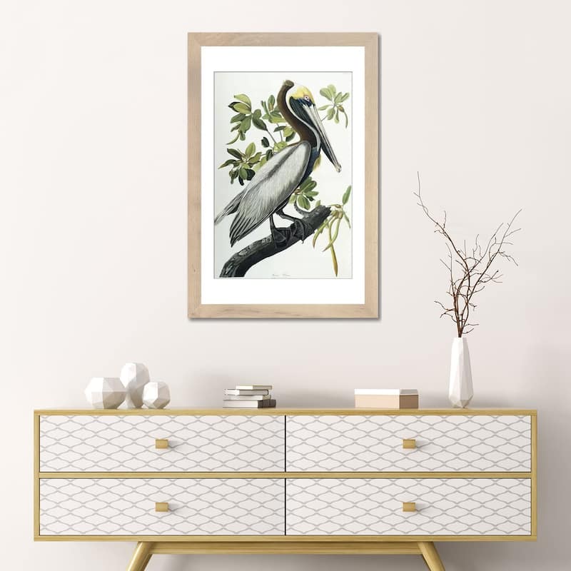 iCanvas "Brown Pelican, 1835 " by John James Audubon