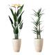 Option 4ft Faux Tequila & 5ft Bird of Paradise