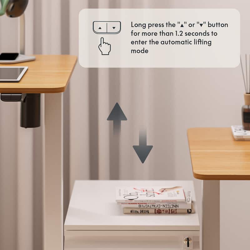 FlexiSpot Electric Standing Desk Whole-Piece Desk Board Computer Desk Height Adjustable Desk for Home Office