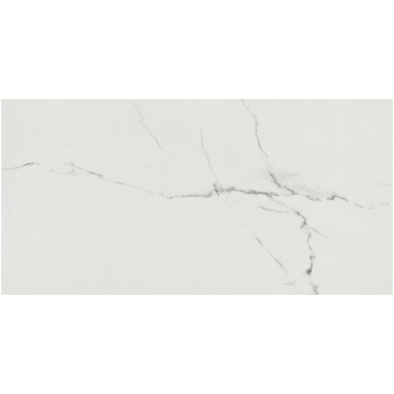 Ackland AKNPTCHI12X24P-PL Chiara - 12" x 24" Porcelain Solid Floor and