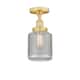 Option Satin Gold / Clear Wire Mesh