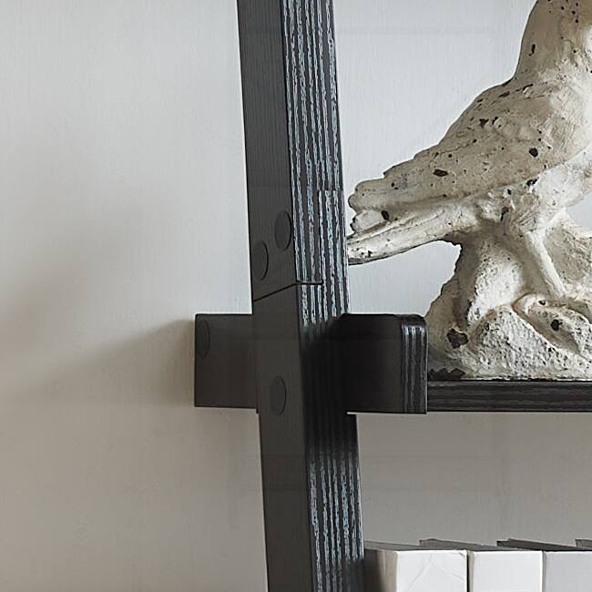 Versatile Bookcase Ladder with Innovative Shelf Design