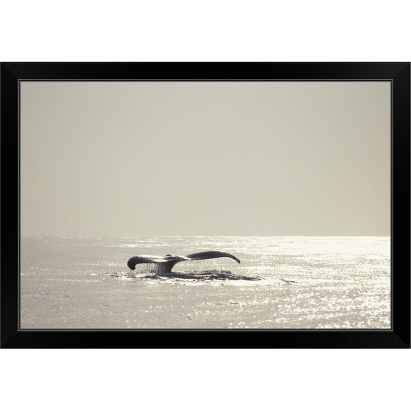 "Humpback whale, tail over water surface, copy space, Hawaii, USA" Black Framed Print