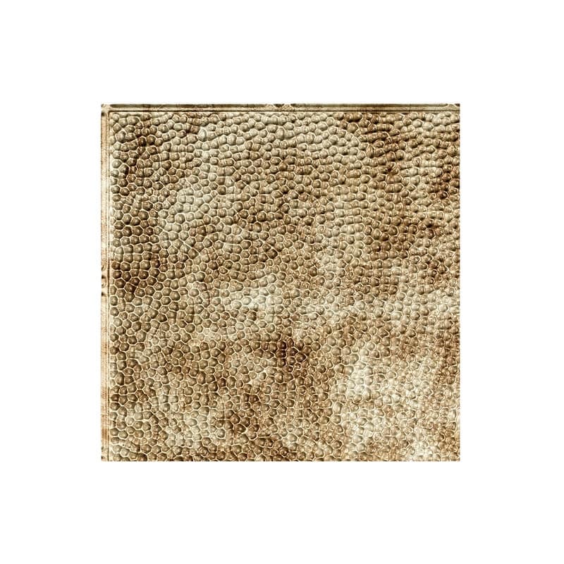 FASÄDE Border Fill Decorative Vinyl 2ft x 4ft Glue Up Ceiling Panel in Bermuda Bronze (5 Pack) - 12in x 12in Sample - Bermuda Bronze