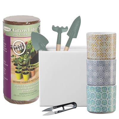 Mosaic Livorno Indoor Ceramic Plant Pot Kit with Soil and Tools - 5.1" Square & 3.1"Dia Round