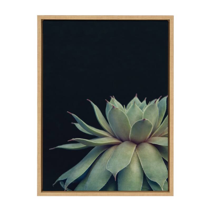 Sylvie Succulent 18x24 Gold Framed Canvas Wall Art by F2 Images