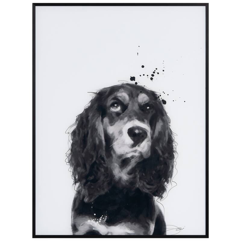 "Cocker Spaniel" Black and White Pet Portraits on Reverse Printed Art Glass, Minimally Encased on Black Anodized Aluminum Frame