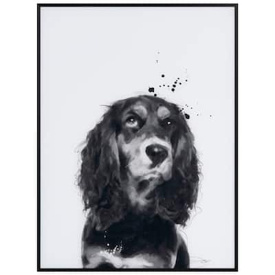 "Cocker Spaniel" Black and White Pet Portraits on Reverse Printed Art Glass, Minimally Encased on Black Anodized Aluminum Frame