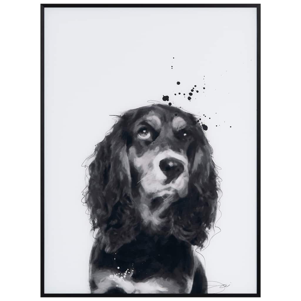 "Cocker Spaniel" Black and White Pet Portraits on Reverse Printed Art Glass, Minimally Encased on Black Anodized Aluminum Frame