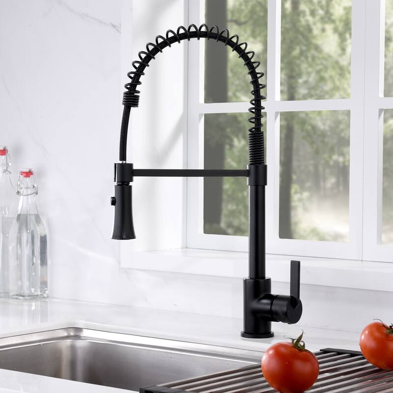 Luxier KTS13 Single Handle Pull Down Sprayer Kitchen Faucet