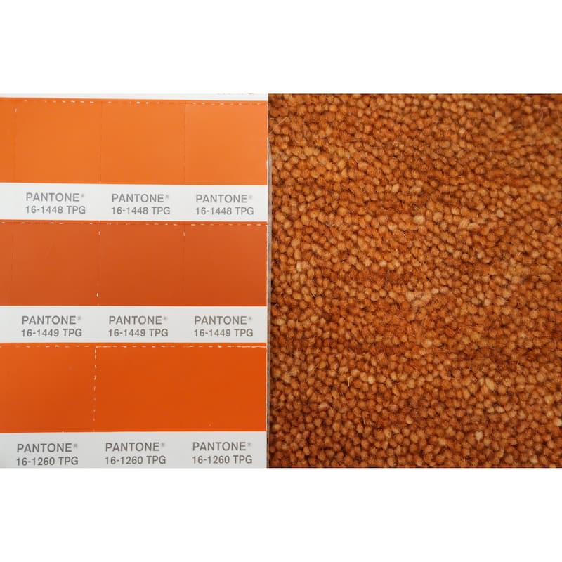 Hand Knotted Oriental 100% Wool Carpet Tribal Animal Pictorial Oranges & Rust Gabbeh Area Rug - 7' 11'' X 7' 9''