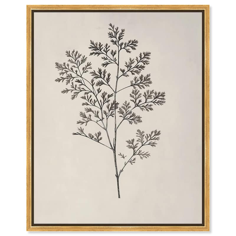 Aniseed Anatomy II Canvas Delicate Floral by Art Remedy - Gold - 30" x 36"