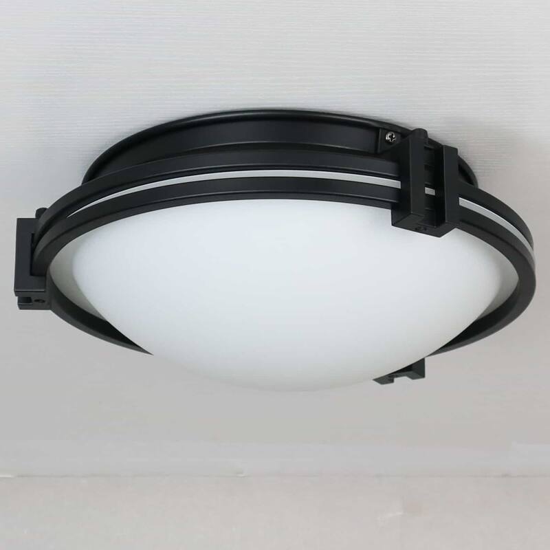 Robben Modern Flush Mount Ceiling Lighting 12-Inches , 2-Lights