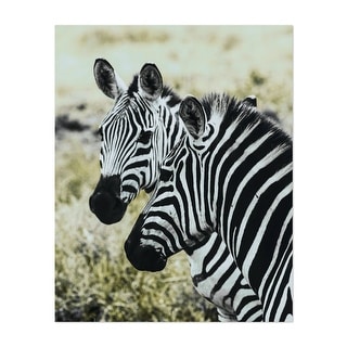 Serengeti National Park Tanzania Photography Nature Art Print/Poster ...