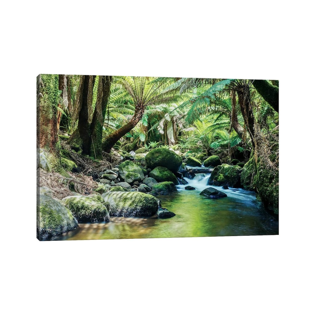 iCanvas "River In The Tasmanian Rainforest" by Matteo Colombo Canvas Print