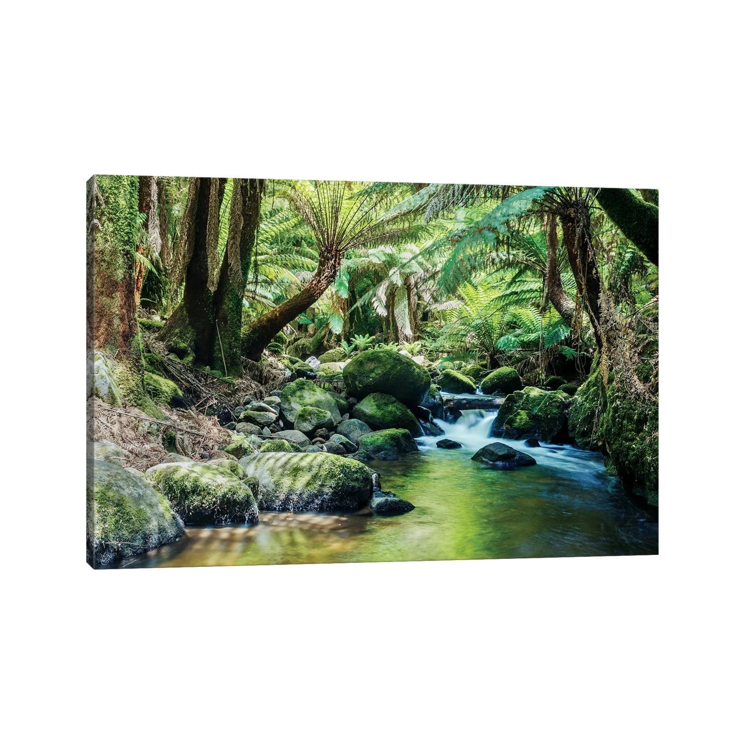 iCanvas "River In The Tasmanian Rainforest" by Matteo Colombo Canvas Print