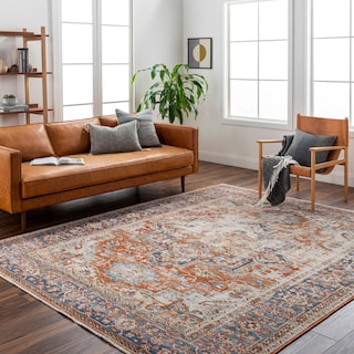 Teodros Traditional Area Rug