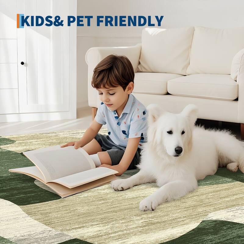 Area Rug Modern Abstract Rugs for Living Room Geometric Non-Slip Backing Low Pile Floor Carpet