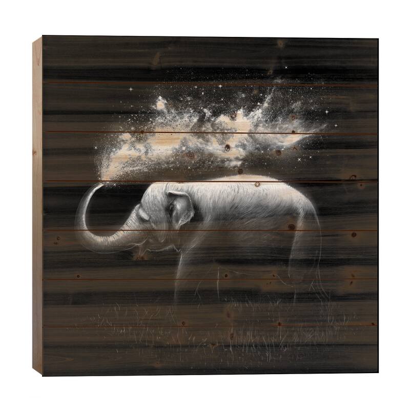 Elephant Splash in B&W Print On Wood by Nicebleed - Multi-Color - 26x26x1.5