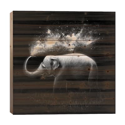 Elephant Splash in B&W Print On Wood by Nicebleed - Multi-Color