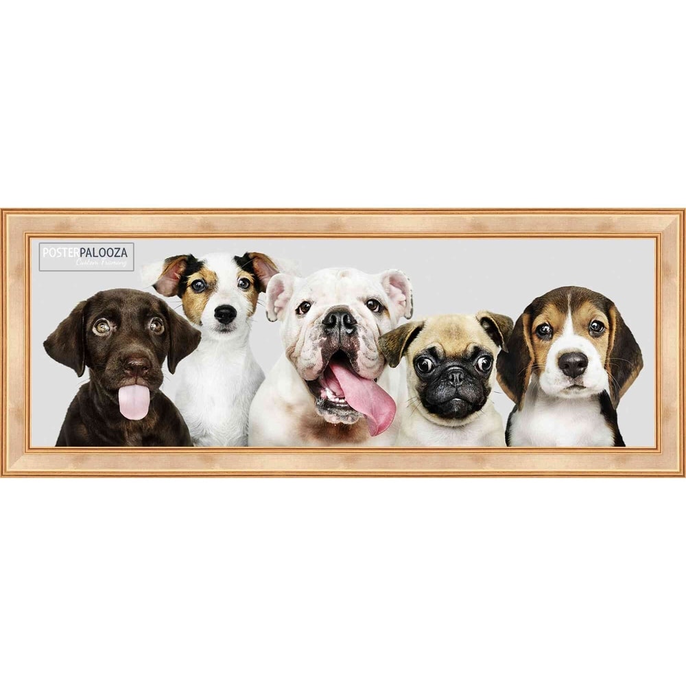 Wall 12x30 Picture Frame Brown 12x30 Poster 12 x 30 Photo