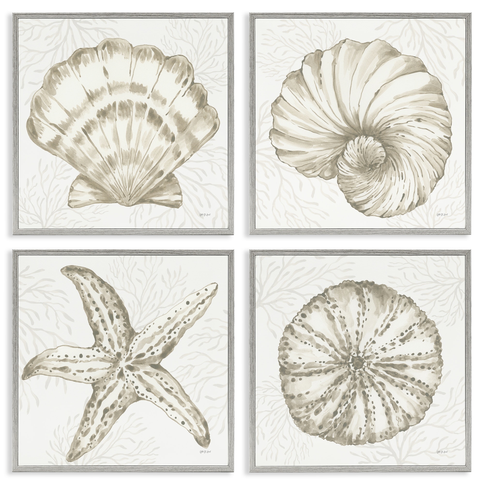 Stupell Neutral Coastal Reef Shells Framed Giclee Art Design By Yvette St. Amant (Set of 4)