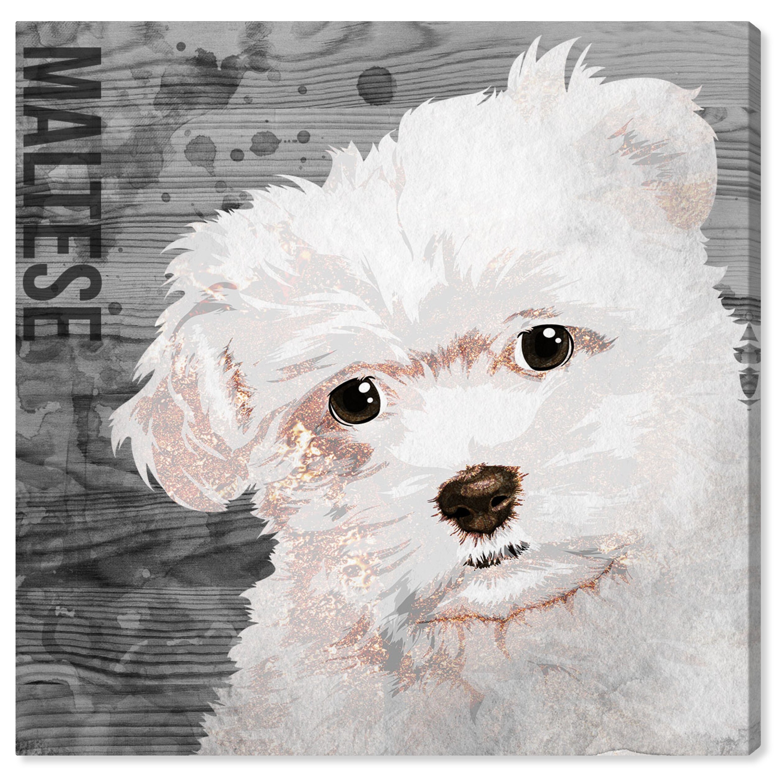 Maltese outlet wall art