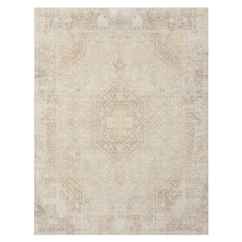 Sevita Traditional Bordered/Medallion Indoor Area Rug - 7'10" x 9'10" - Beige