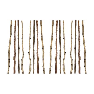 59" Long Wood Birch Branch (Set of 16 Pieces / Each one will vary)