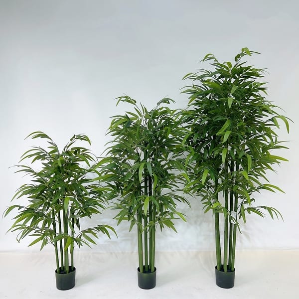 fungicide spray for plants Organic Fungicide for Grass, Trees & Shrubs
