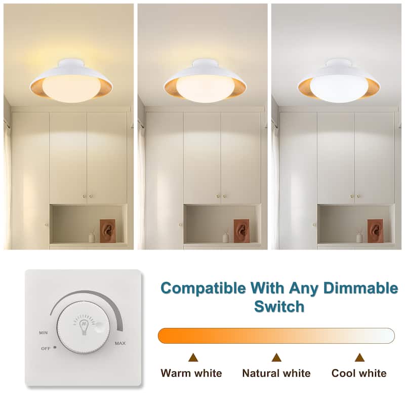 Starsky 1-light 15in. Bowl Ceiling Light Frosted Glass Shade Semi Flush Mount - Black