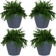 preview thumbnail 21 of 25, Sunnydaze Anjelica Polyresin Outdoor Flowerpot Planter - 24" - Slate