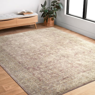 Alexander Home Austen Antique Washed Traditional Inspired Area Rug