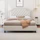 Option White