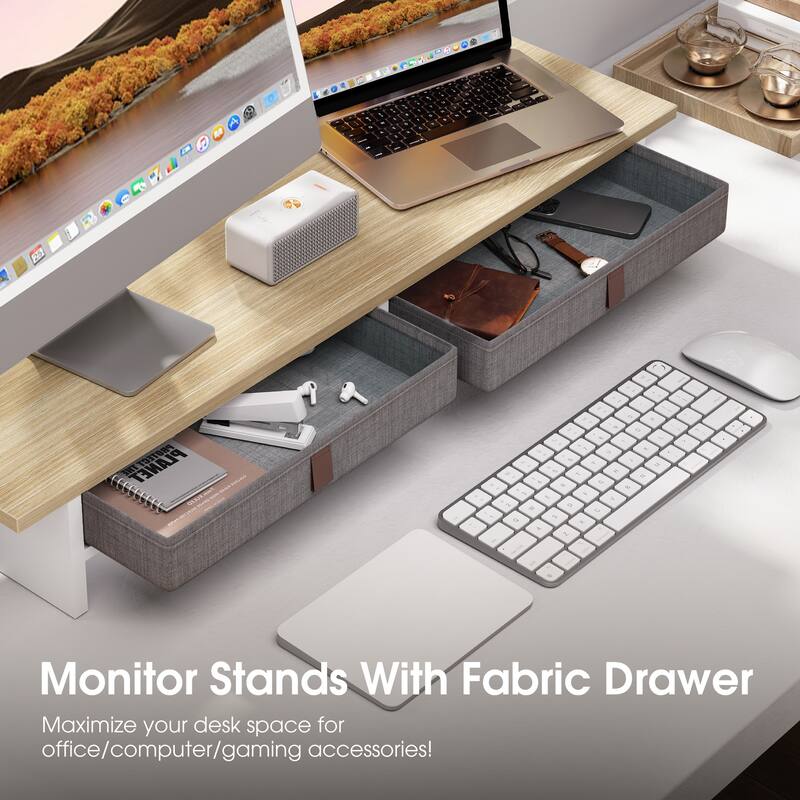 Fenge Dual Monitor Stand, 2 Tiers Monitor Riser for Desk