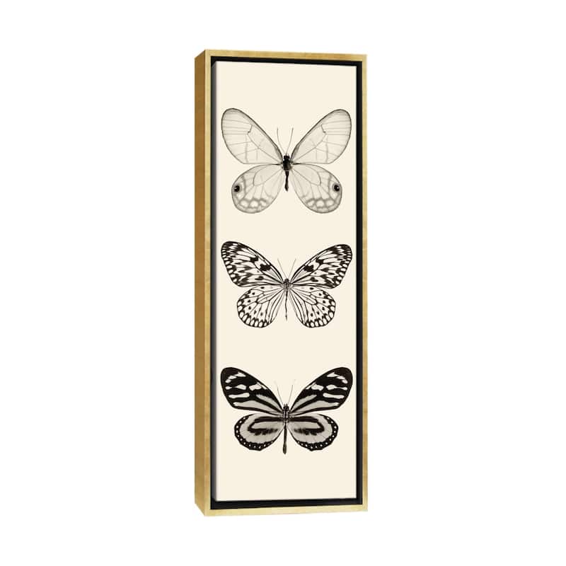 iCanvas "Butterfly Panel II In B&W" by Debra Van Swearingen Framed Canvas Print - 48x16 - Gold