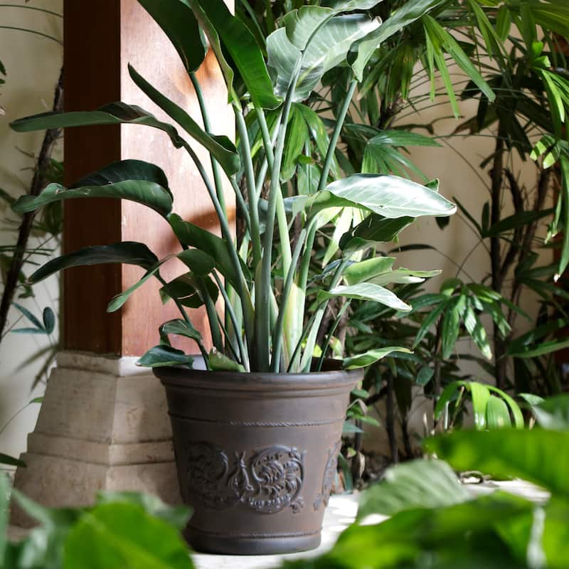 Arabella Outdoor Double-Walled Flower Pot Planter - Rust -16"- Single - 1