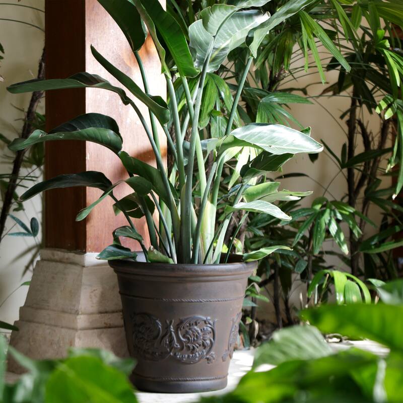 Sunnydaze Arabella Polyresin Large Round Outdoor Planter - 16in