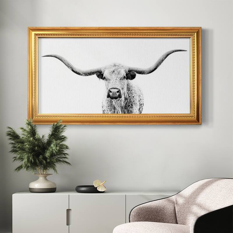 Longhorn Gaze Premium Framed Canvas- Ready to Hang