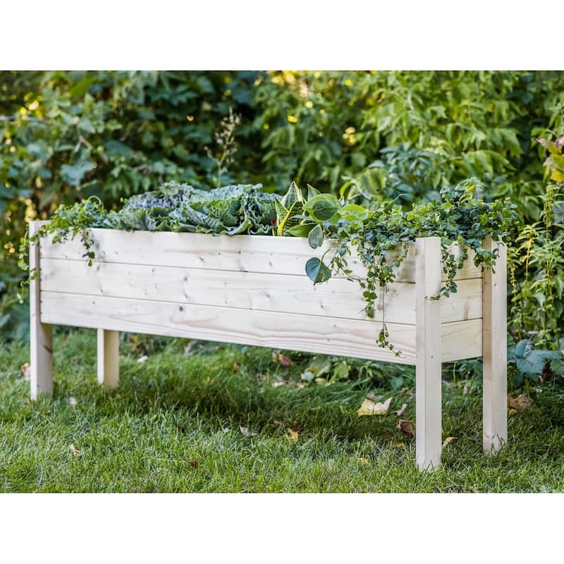 Zylina Raised Garden Planter Collection - Extra Long - 60 x 12 x 22