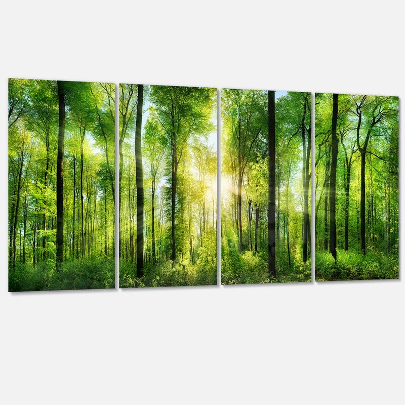Designart "Forest with Rays of Sun Panorama" Landscape Canvas Print