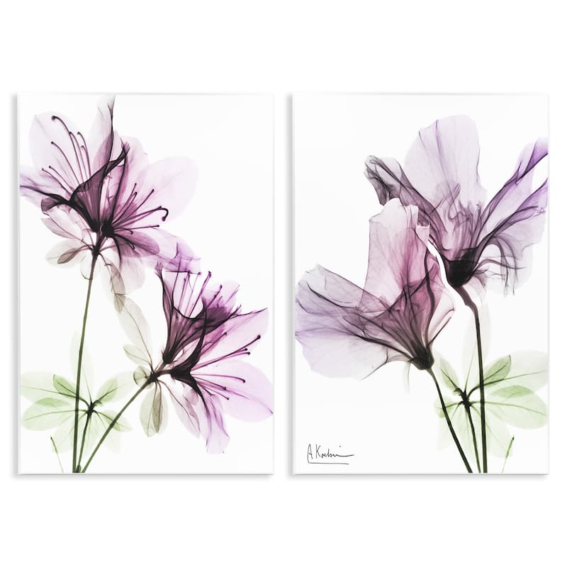 Stupell Purple Flower Bloom Design 2pc Multi Piece Wood Wall Art Set
