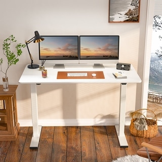 FlexiSpot 55"x28" Electric Ergonomic Home Office Height Adjustable Standing Desk 2-Button Computer Desk Varaint Color