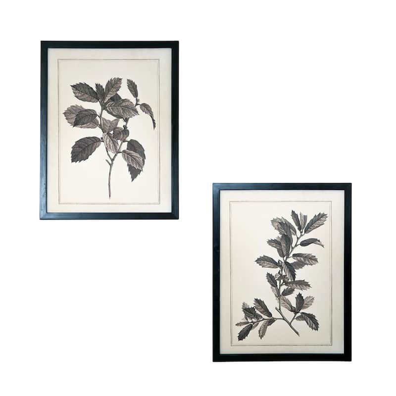 HomeRoots Set of Two Black And White Botanical Leaves Framed Art