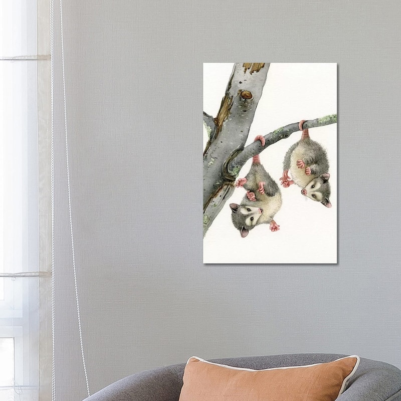 iCanvas "Playful Possums" by Tracy Lizotte Canvas Print - 26x18x1.5