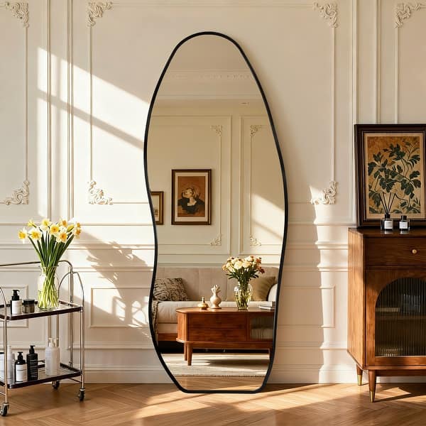 Metal Irregular Full Length Floor Mirror Freestanding Mirror Wall Mounted - Black - 24x63
